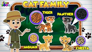 Cat Family | Learn about Cats | Kids vocabulary | Puntoon Classroom