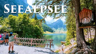 Seealpsee, Switzerland 4K - Amazing Beautiful Nature Scenery For Relaxation, Heaven on Earth