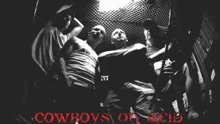 Cowboys on acid - Bitch.