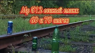 Мр 512 -  выход в лес, плинк по банкам и бутылкам на 60 и 70 шагов.