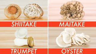 Trying Every Type Of Mushroom | The Big Guide | Epicurious