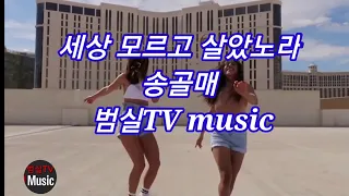 세상 모르고 살았노라 - 송골매