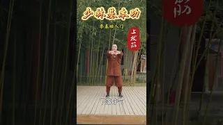 少林基本功完整版详细教学，锻炼从现在做起，还不快点赞收藏！#功夫 #锻炼 #高手在民间