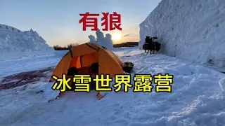 凌晨有几只狼嚎叫，大风天气来到北极村冰雪世界露营，帐篷里做饭