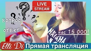 Всё о собаках - задай вопрос! Прямая трансляция с Elli Di.