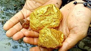 Giant gold nugget found on the Banks of the Papua river with assemble tools