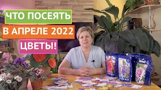 НЕ ЗАБУДЬТЕ ПОСЕЯТЬ ЭТИ ЦВЕТЫ В АПРЕЛЕ НА РАССАДУ ИЛИ В ОТКРЫТЫЙ ГРУНТ!