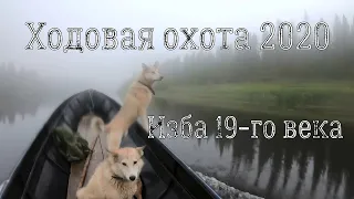 ходовая охота 2020,открытие охоты.