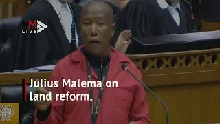 'Now that you've been elected, you turn your back on your promises' : Malema on land reform