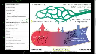 #44-Hemodynamic Disorders-reduced plasma osmotic pressure, osmosis, edema, albumin