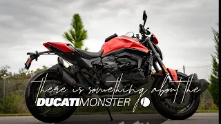 There is something about the Ducati Monster