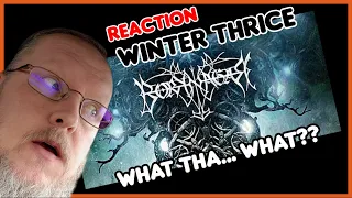 Borknagar - Winter Thrice (REACTION) Metal Mixture of Awesome??
