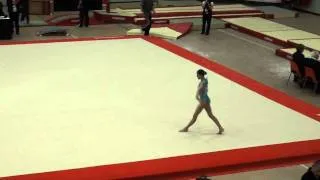 Silvia Cnd Nats 2011 AA Floor