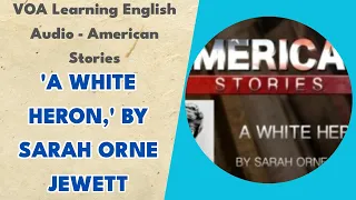 'A White Heron,' by Sarah Orne Jewett - American Stories