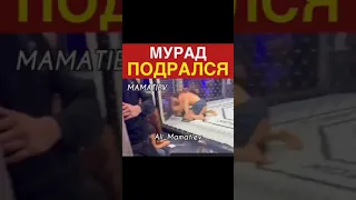 Швед Мурад бой