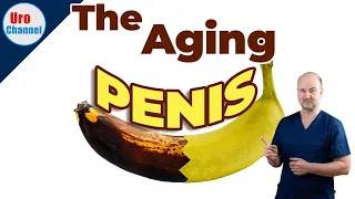 What age does to your penis | UroChannel