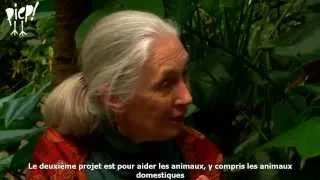 Nouvelle interview Dr. Jane Goodall. Explications pour un monde meilleur.