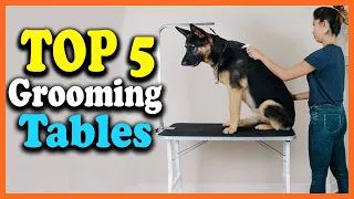 ✅Top 5 Best Dog Grooming Tables in 2022