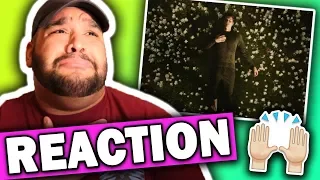 Shawn Mendes - In My Blood (Music Video) REACTION