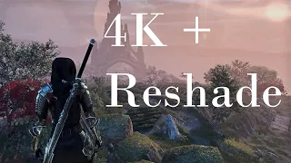 The Elder Scrolls Online Max Graphic + Reshade | 4K | My Reshade