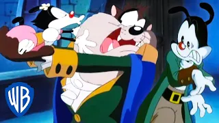 Animaniacs | Dot Finds Love | Classic Cartoon | WB Kids