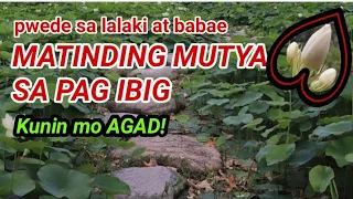 MUTYANG MATINDI SA PAG IBIG | KUNIN MO AGAD PAG NAKITA MO!