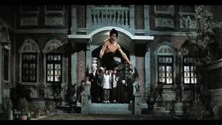 BRUCE LEE-FIST OF FURY