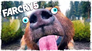 УГАР, ПРИКОЛЫ И ФЭЙЛЫ В FAR CRY 5 (БАГИ И СМЕШНЫЕ МОМЕНТЫ В ФАР КРАЙ 5)