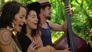 Rising Appalachia - I Shall Be Released - On the Farm Sessions @Pickathon 2018 S06E03