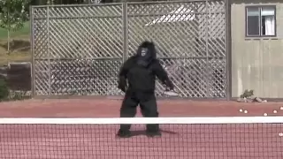 TENNIS PLAYER'S DISTURBING BIGFOOT FOOTAGE