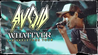 AVOID - "Whatever" LIVE! The Skeletons Tour