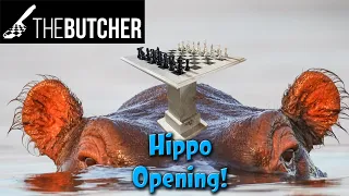 DEMOLISHING The Hippo in Just a Few Moves!!