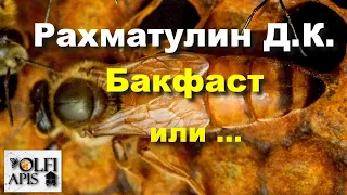 #Рахматулин Д. К. Бакфаст или ...???