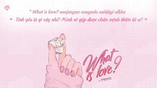 [Vietsub] TWICE (트와이스) - What is Love?