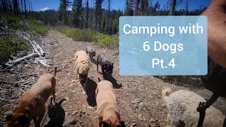 Camping With 6 Dogs Pt. 4 (May 2024)