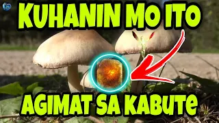 Kuhanin Mo Ito Agad | Agimat  Sa Kabute | Kevin Tv Official