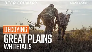 Decoying Great Plains Whitetails | Deer Country