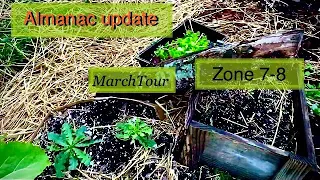 Almanac Gardening: March Garden Tour: What I Learned in March.