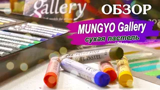 Обзор сухой мягкой пастели Mungyo Gallery. Drawing with soft pastels