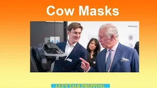 Cow Masks  #shorts