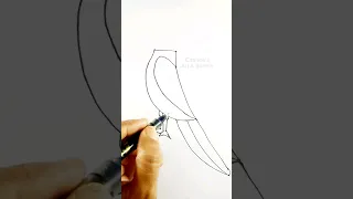 parrot drawing #shorts #drawingshorts #shortsdrawing #arttutorial #parrot #parrotdrawing #viral