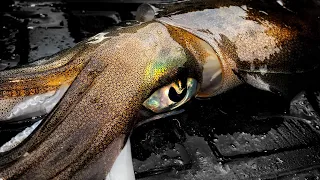 BIG SQUID TACTICS FOR DEEP WATER - YouFishTV