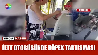 ''Otobüse köpekle binemezsin'' tartışması!