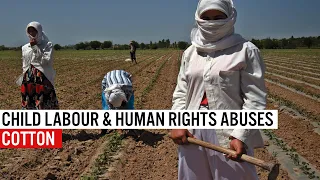 Cotton - Child Labour & Human Rights Abuses