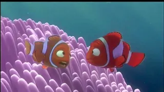 Finding Nemo (2003) Opening Scene