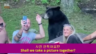 Ep.37 육상 최대 맹수 곰, 살아남기, BEAR meet survival