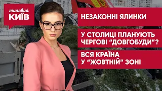 Ліквідація ялинкових базарів / Зведення нових мостів у Києві / Покращення епідситуації