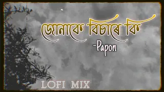 Junake Bisare Ki - Papon | Lofi Mix | Assamese lofi