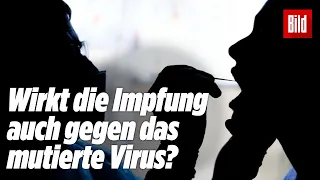 Coronavirus-Mutation: So gefährlich ist die neue Variante