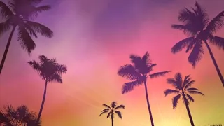 Free Video Footage No Copyright Sun Rays Palm